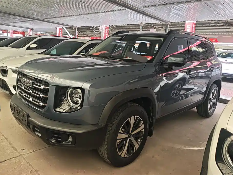 HAVAL BIG DOG