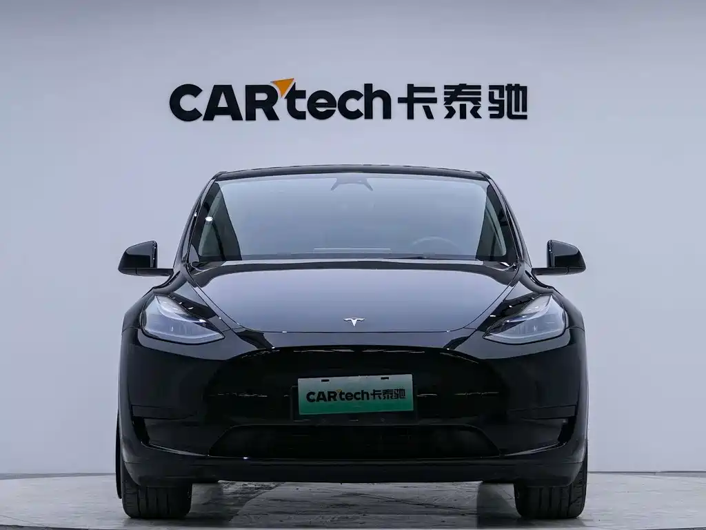 Tesla Model Y — миниатюра 6