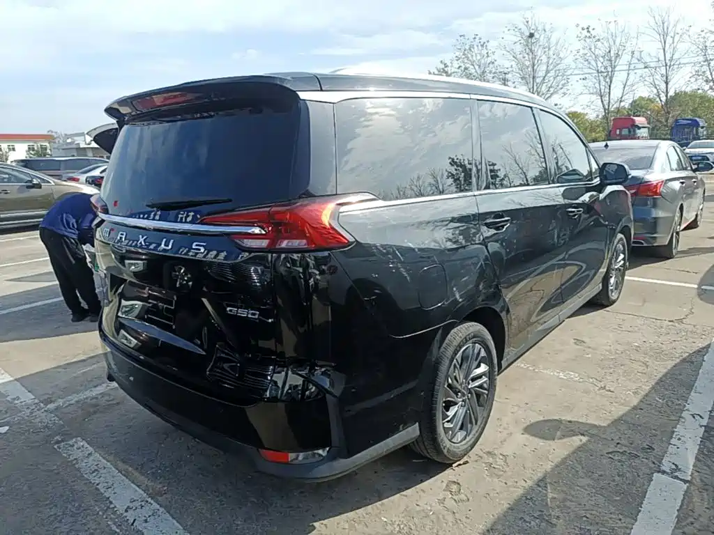 MAXUS G50 — миниатюра 7