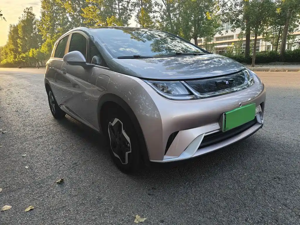 BYD Dolphin — миниатюра 25