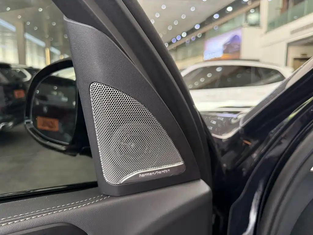 BMW X5 — миниатюра 6