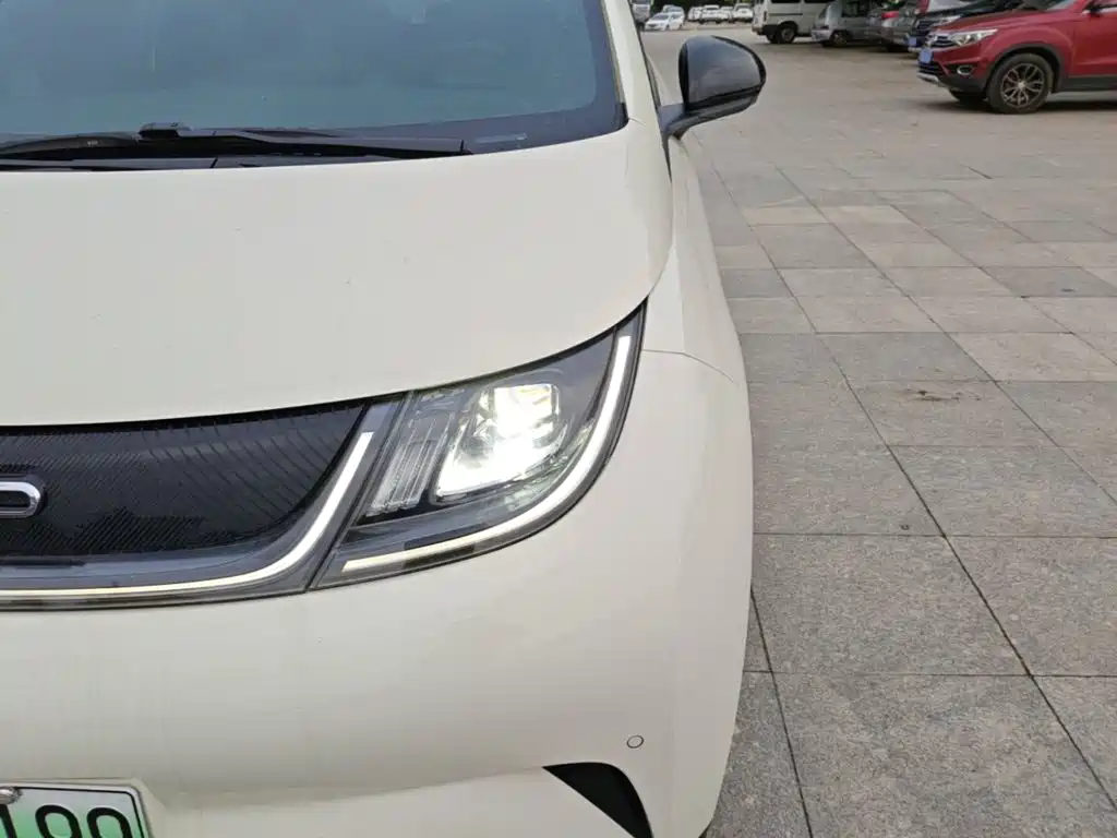 BYD Dolphin — миниатюра 24