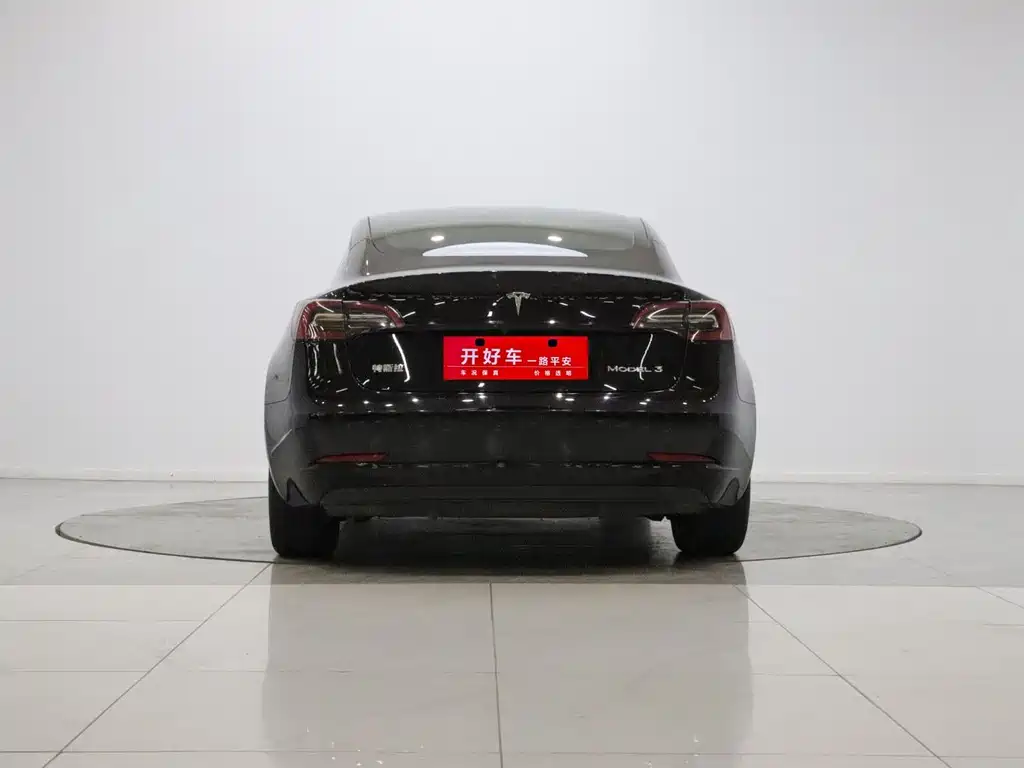 Tesla Model 3 — миниатюра 4