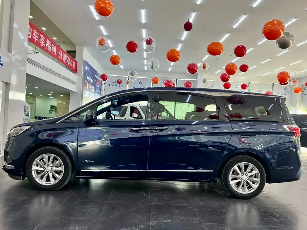 Buick GL8 Avenir Avenir 4-seat Premium Ceremony Edition, фото 11