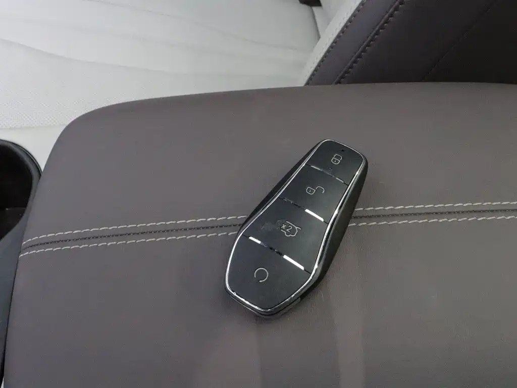 BYD PLUS New Energy — миниатюра 14