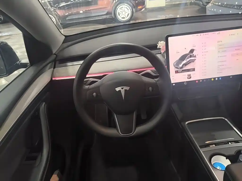 Tesla Model Y — миниатюра 11