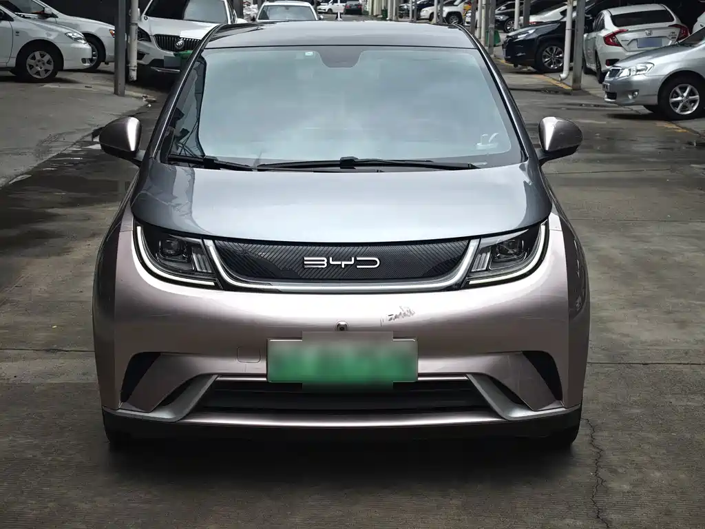BYD Dolphin — миниатюра 2