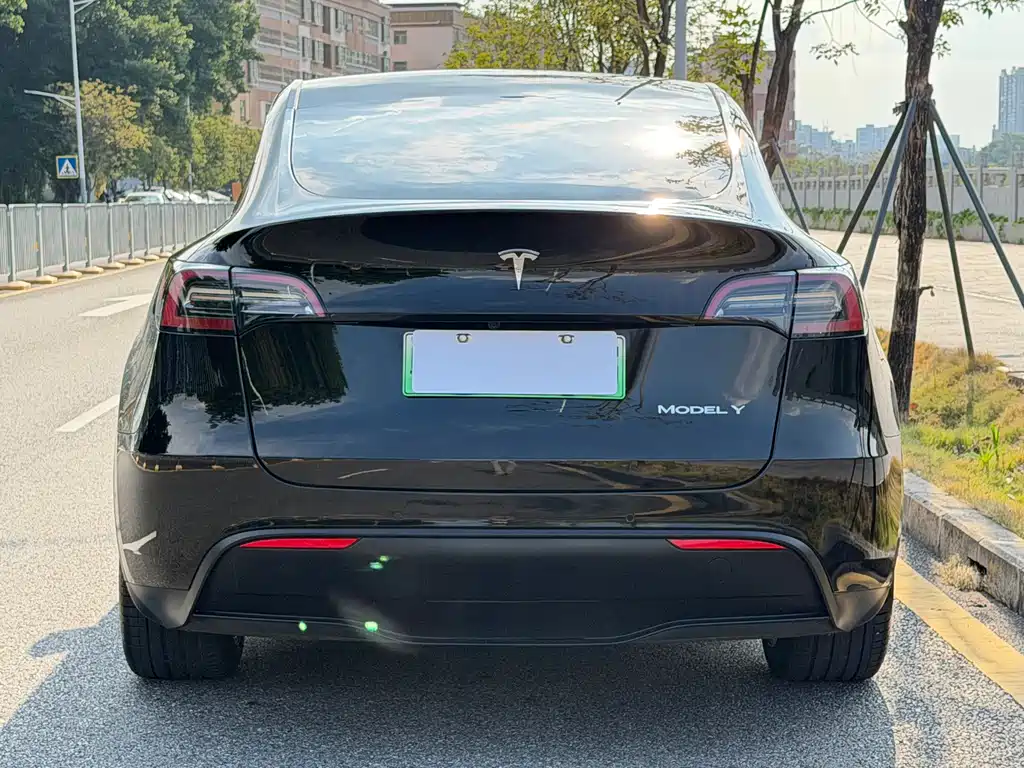 Tesla Model Y — миниатюра 13