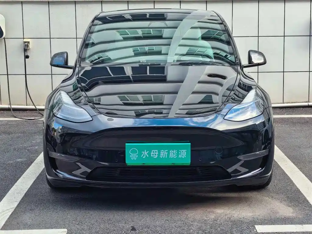 Tesla Model Y — миниатюра 2
