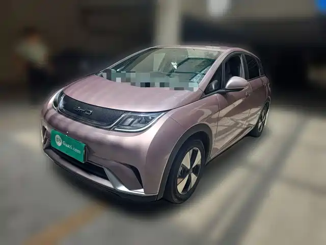 2023 BYD Dolphin