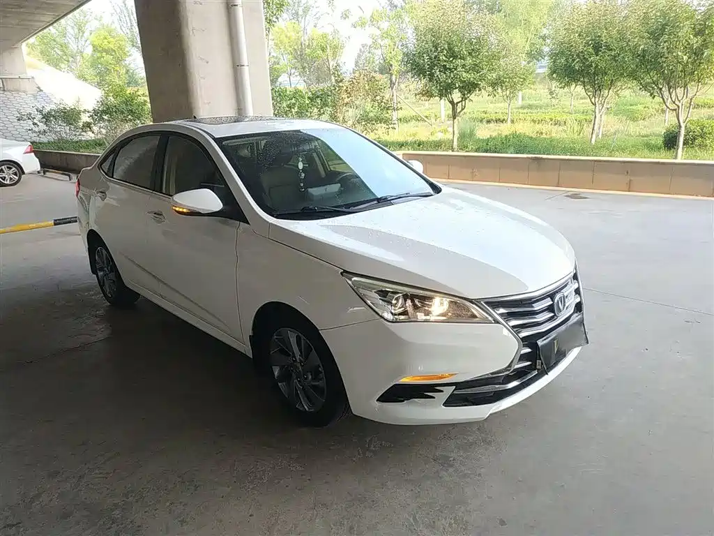 CHANGAN YIDONG DT