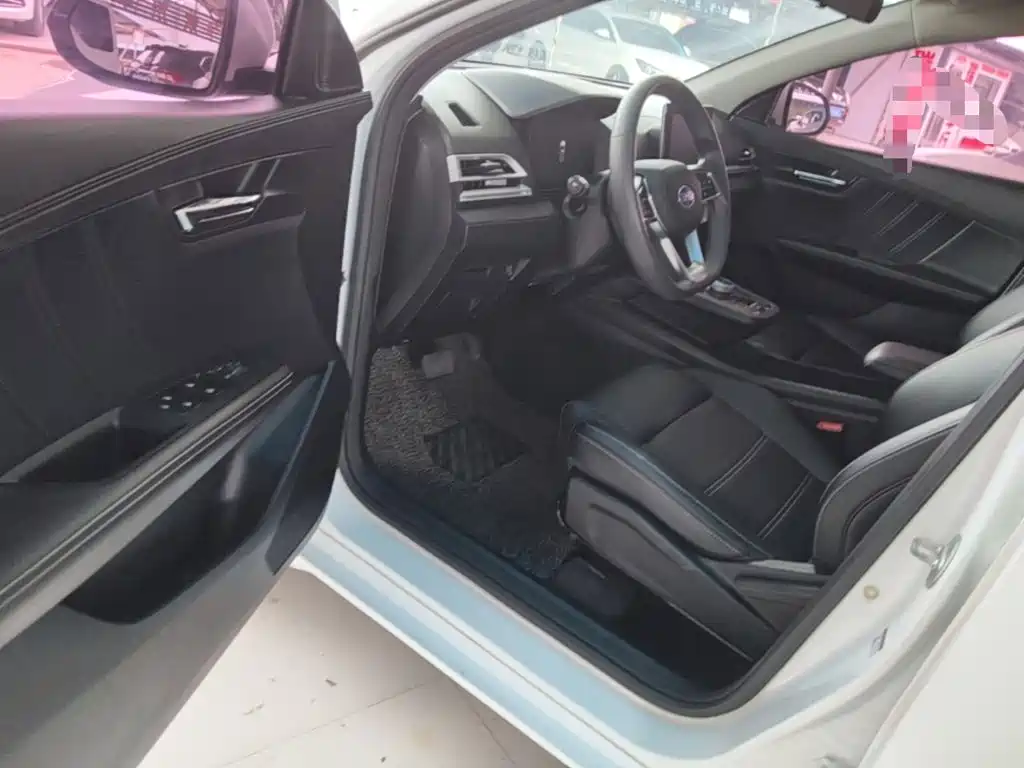 BYD e2 — миниатюра 16