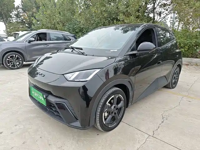 BYD Seagull