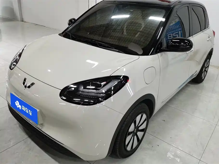 Wuling Bingo 2024