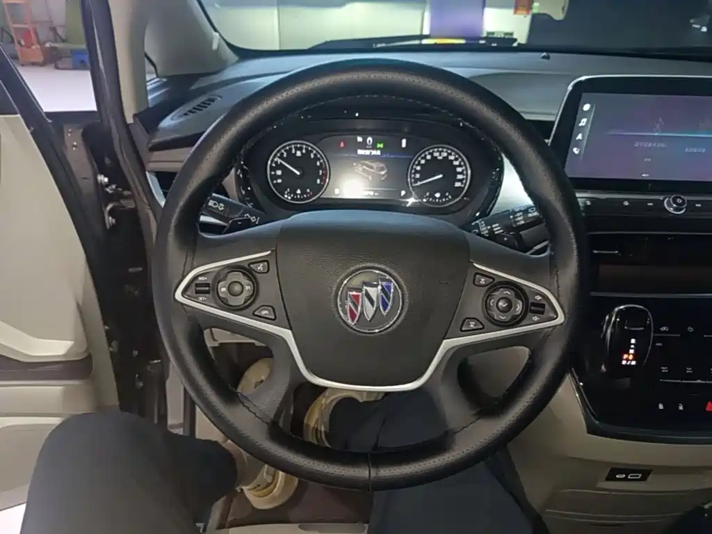 Buick GL8 — миниатюра 11