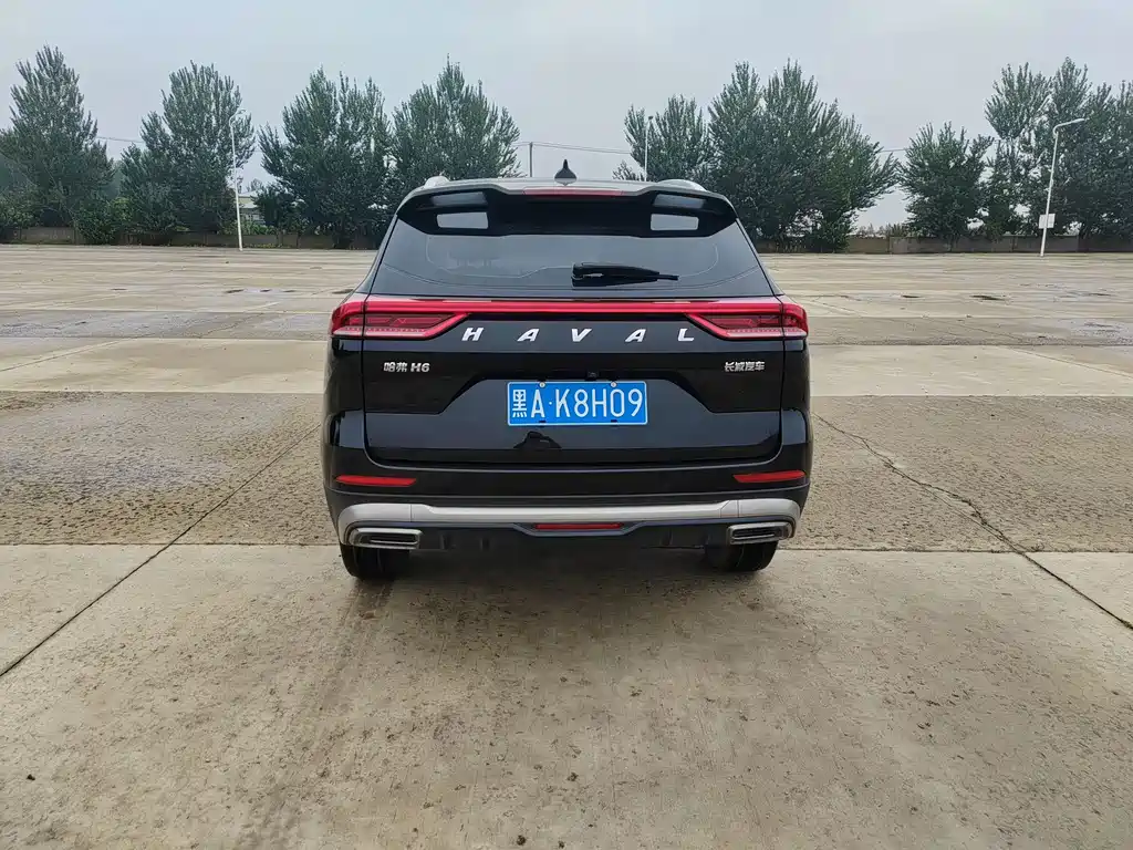 Haval H6 — миниатюра 5