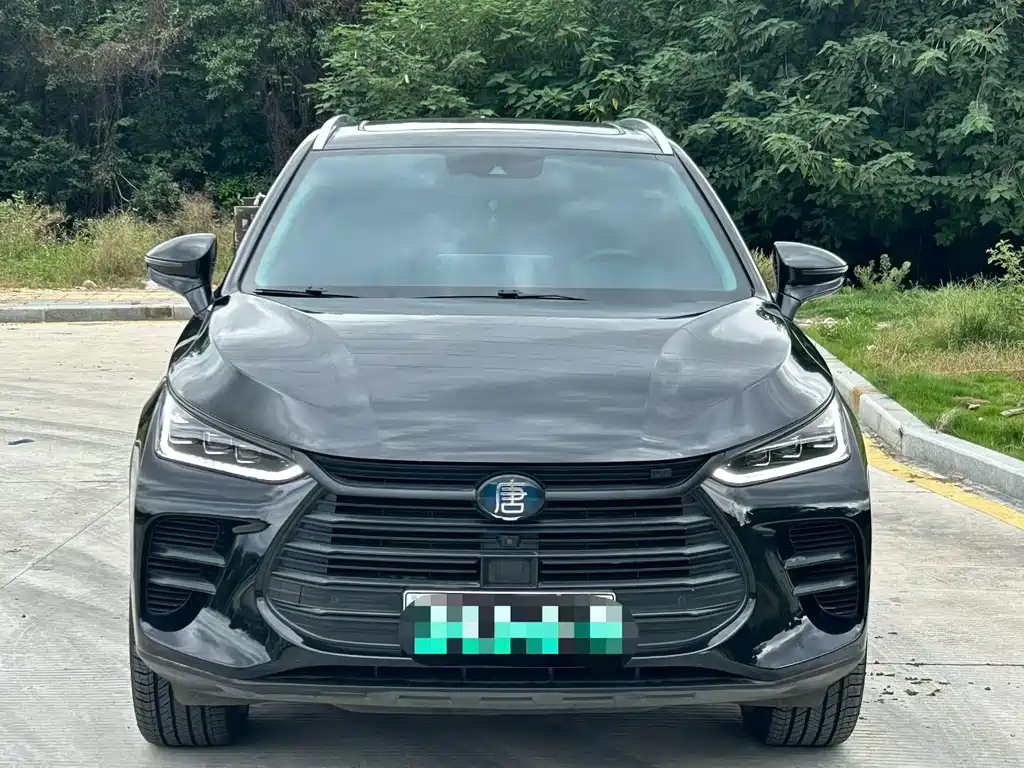 BYD Tang New Energy — миниатюра 2