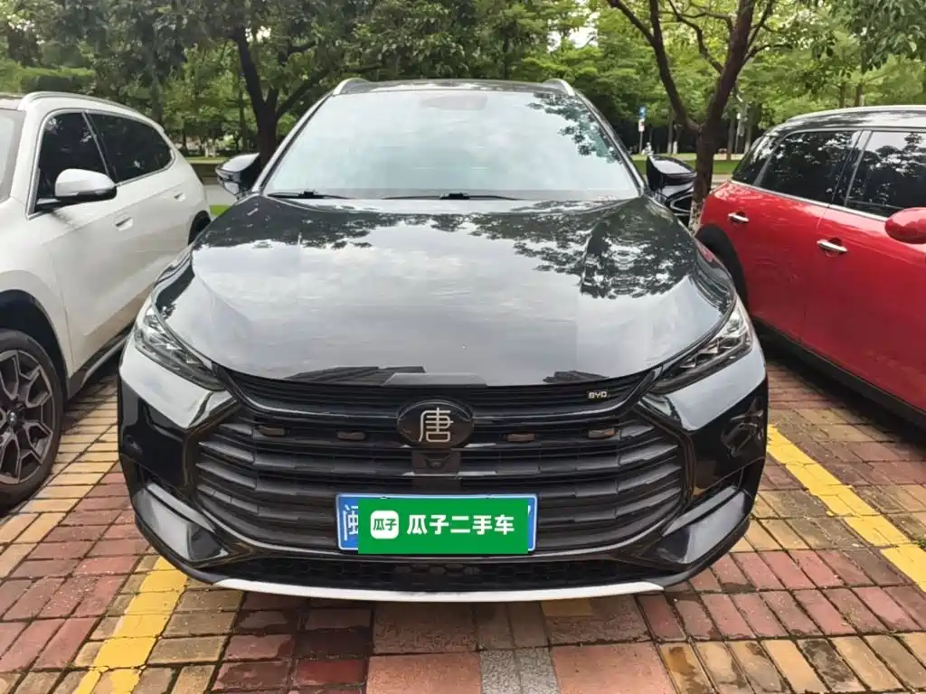 BYD Tang — миниатюра 3
