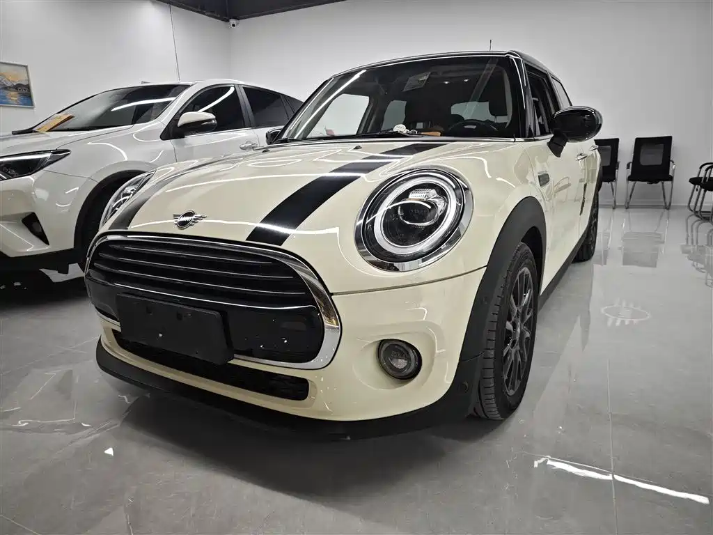 Mini Mini 2020