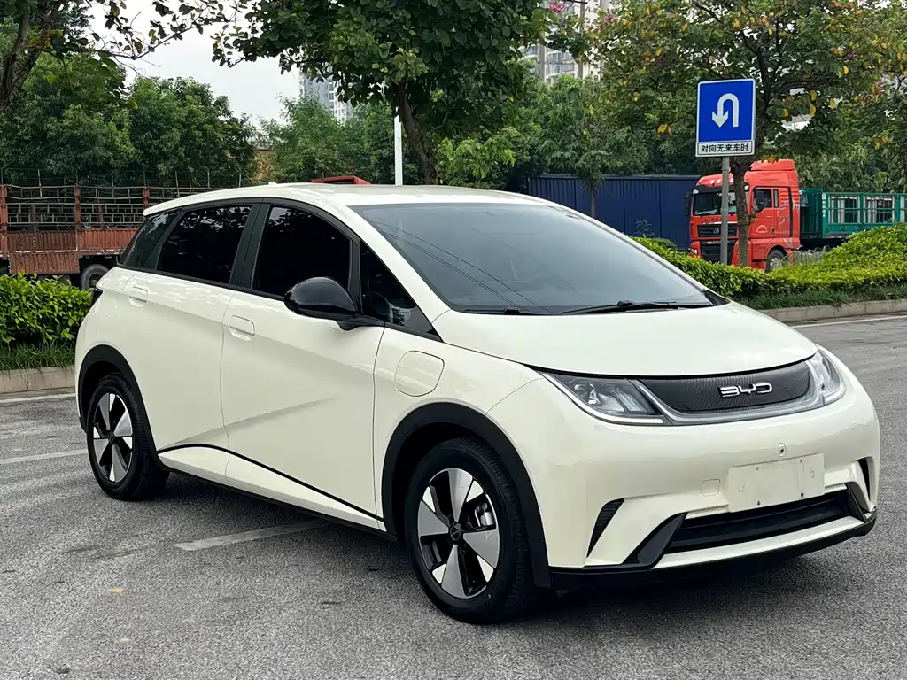 BYD Dolphin — миниатюра 2