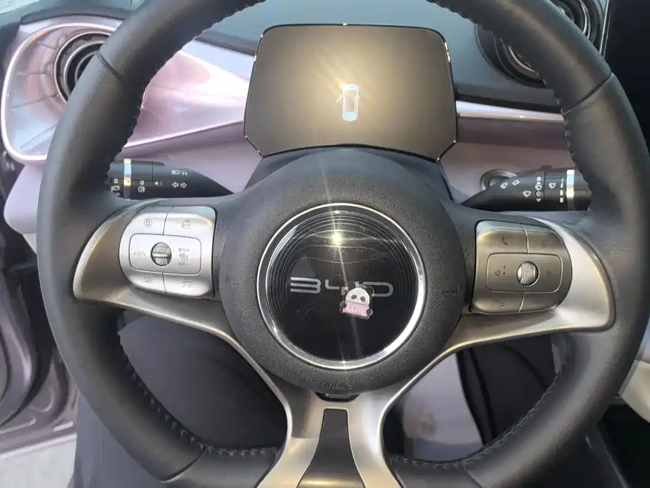 BYD Dolphin — миниатюра 15