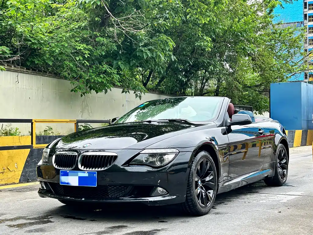 BMW 6 Series 2010