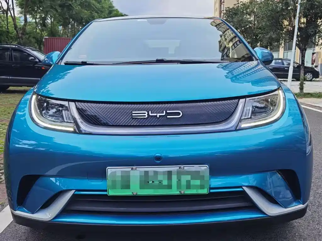 BYD Dolphin 2021 405km Fashion