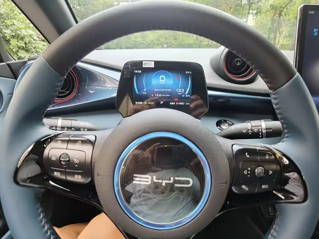 BYD Dolphin 2021 405km Fashion