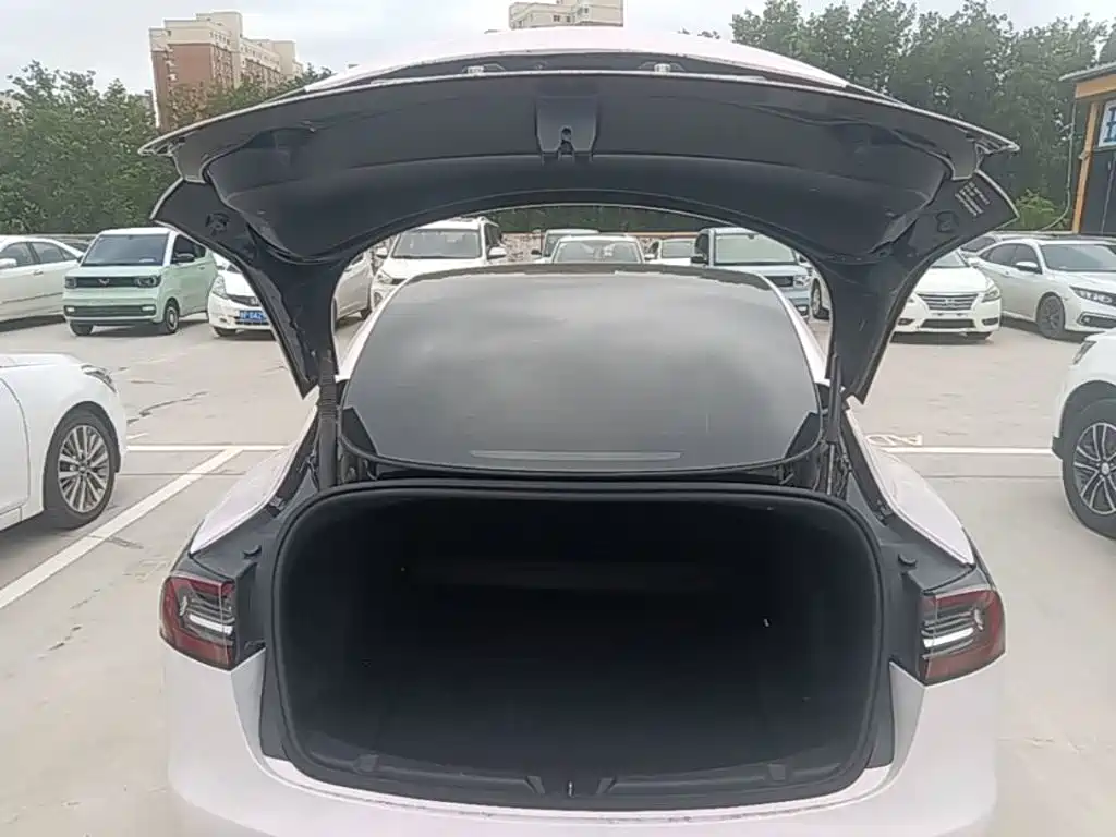 Tesla Model 3 — миниатюра 19
