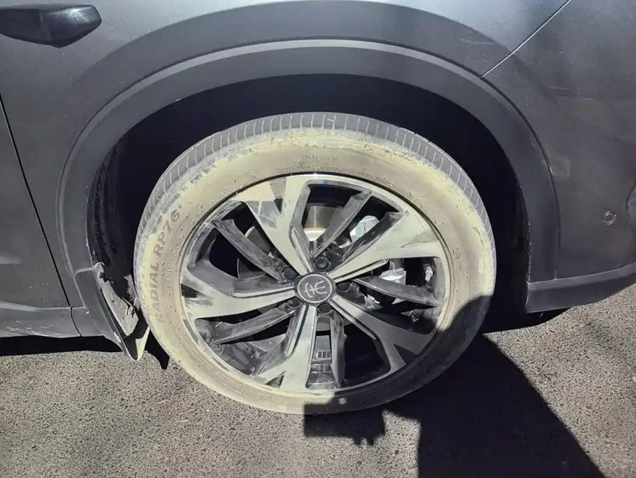 BYD Pro New Energy - фото 6