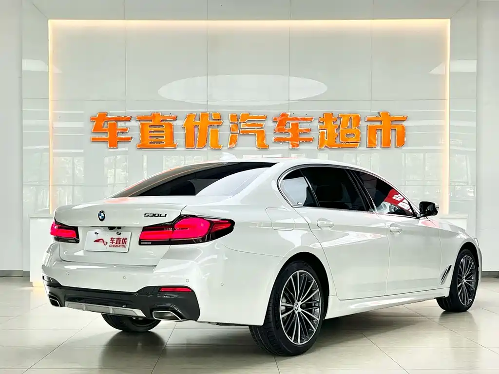 BMW 5 Series — миниатюра 5
