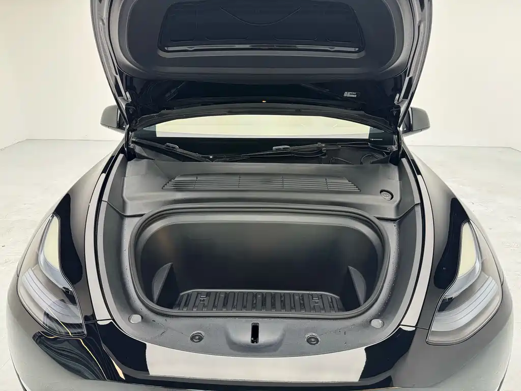 Tesla Model Y — миниатюра 4