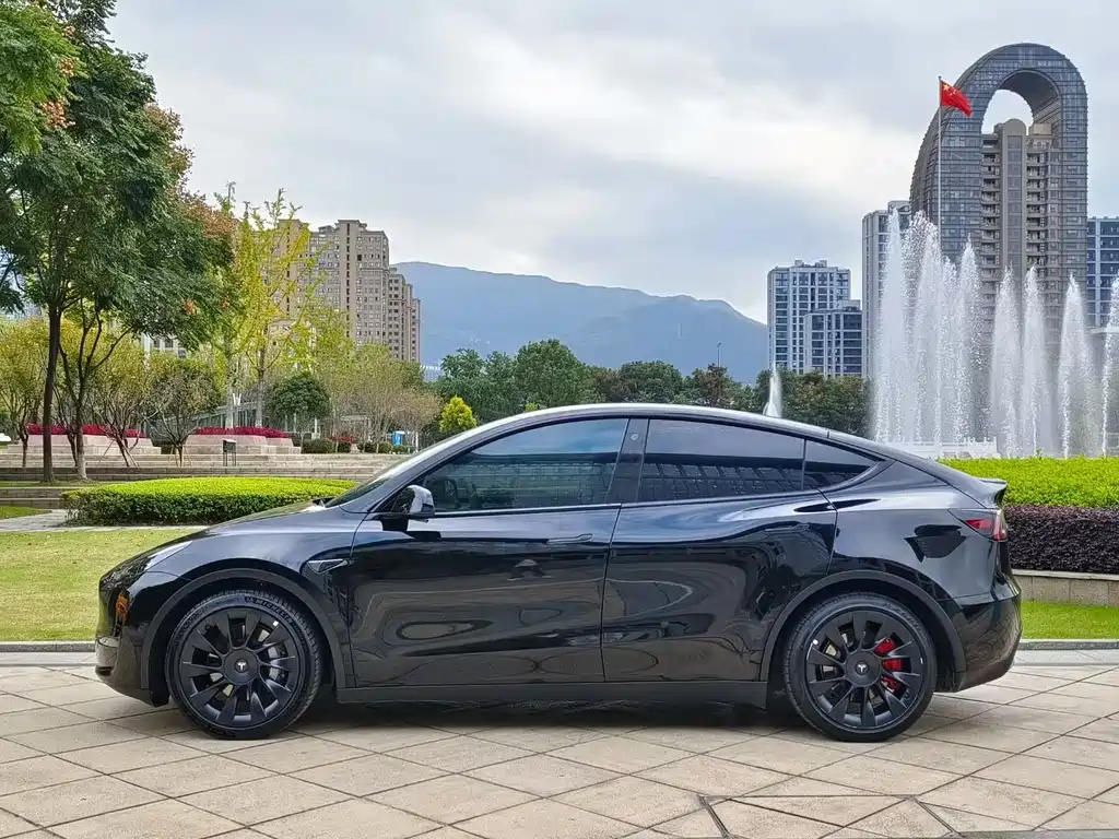 Tesla Model Y — миниатюра 3