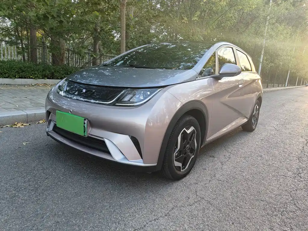 BYD Dolphin — миниатюра 2
