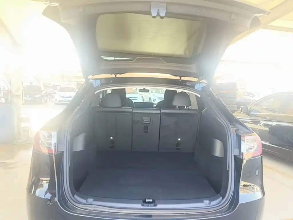 Tesla Model Y — миниатюра 19