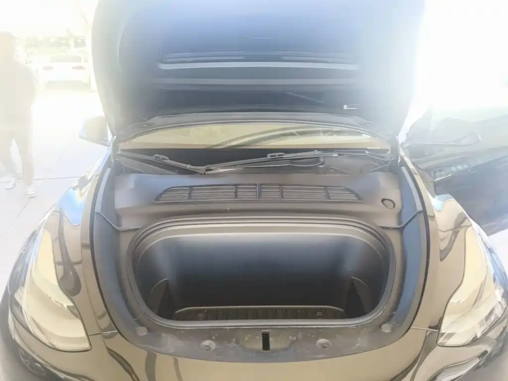 Tesla Model Y — миниатюра 20