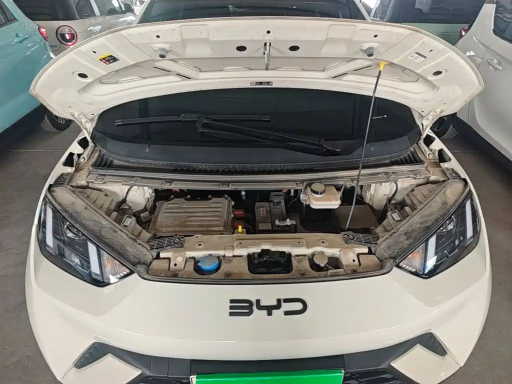 BYD Seagull — миниатюра 20