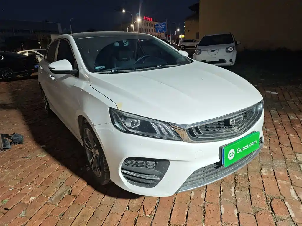 GEELY AUTOMOBILE BINRUI
