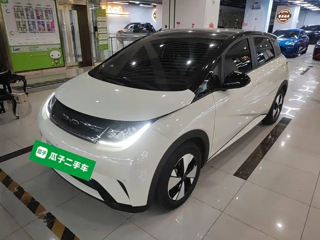 Byd Dolphin 2024