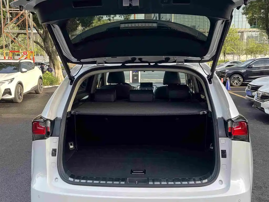 Lexus NX — миниатюра 28