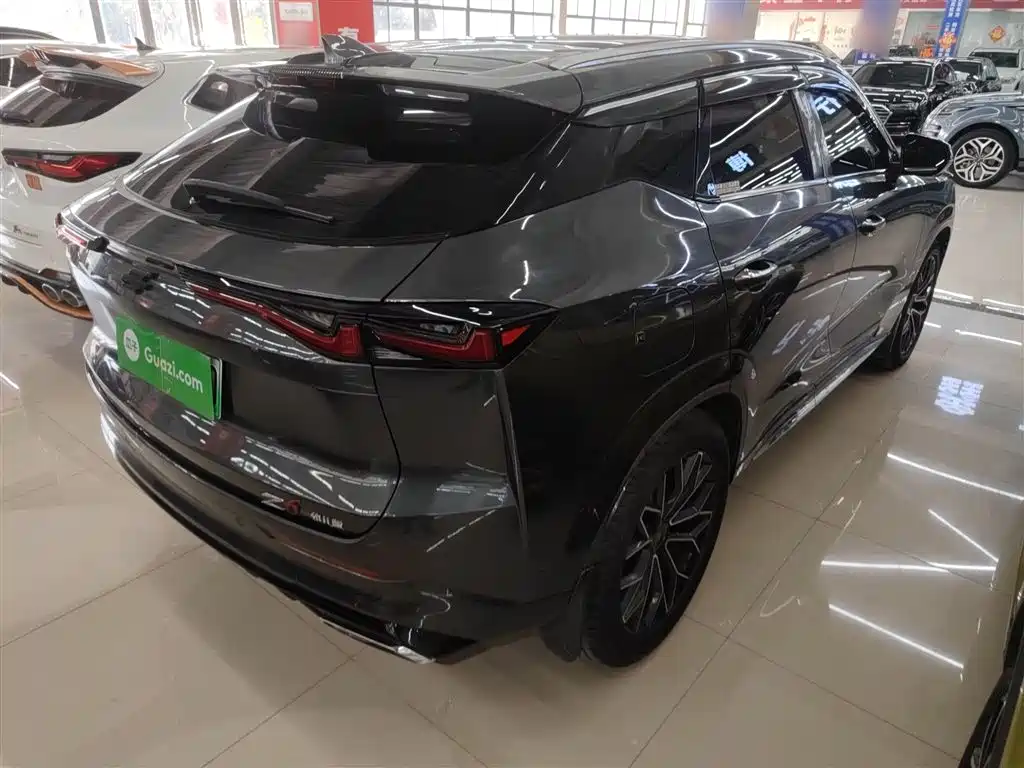 Oshan Oushang Z6 New Energy — миниатюра 23
