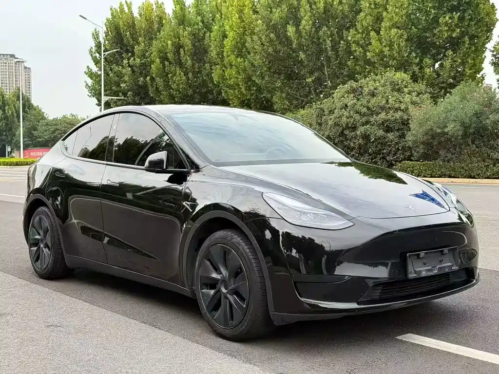 Tesla Model Y — миниатюра 3