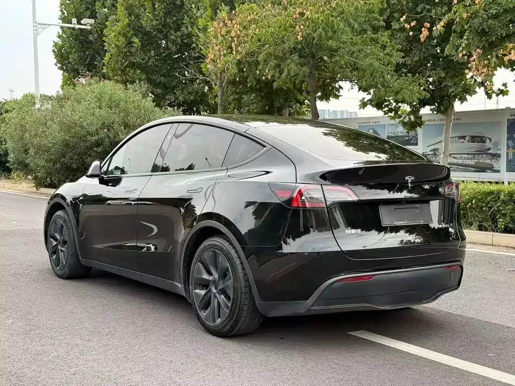 Tesla Model Y — миниатюра 9