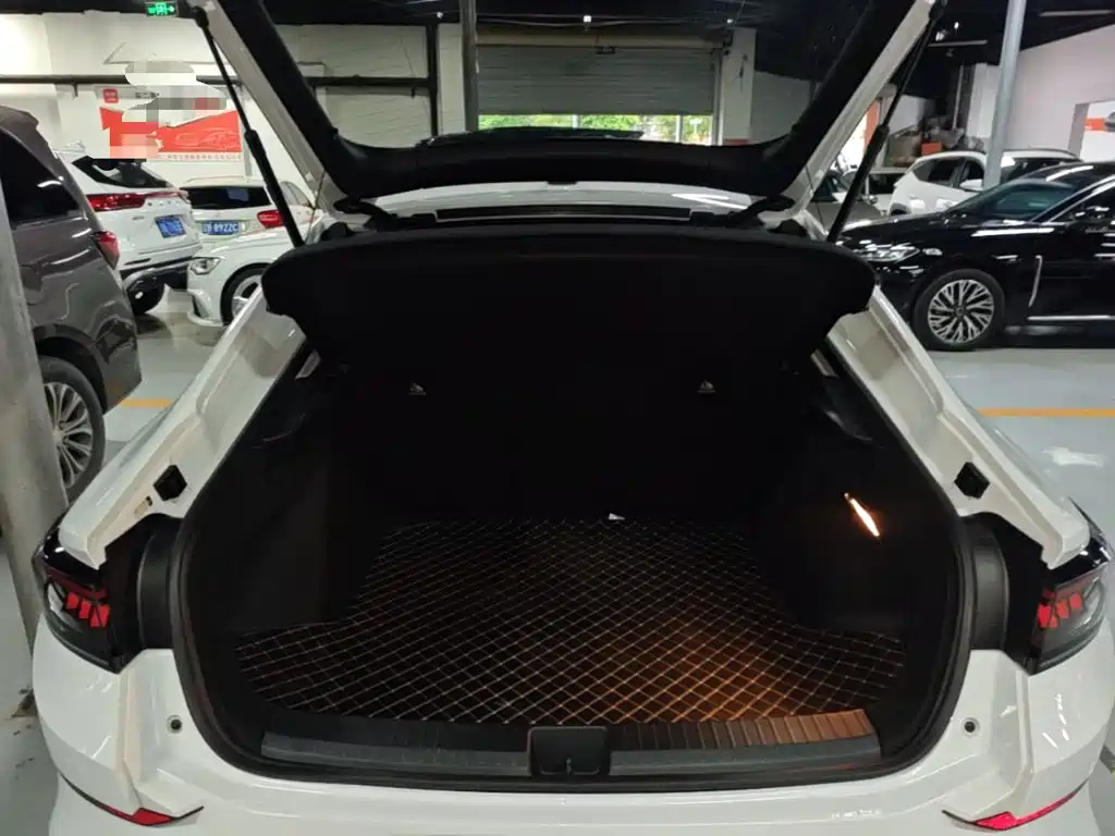 Volkswagen Lamando — миниатюра 19