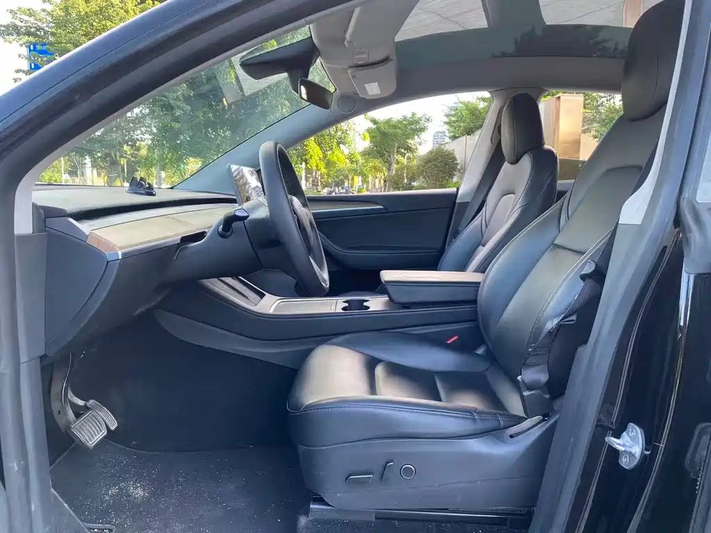 Tesla Model Y — миниатюра 4
