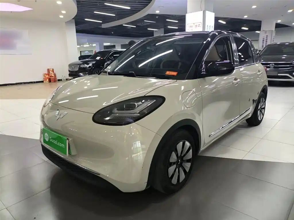 Wuling Bingo 2024