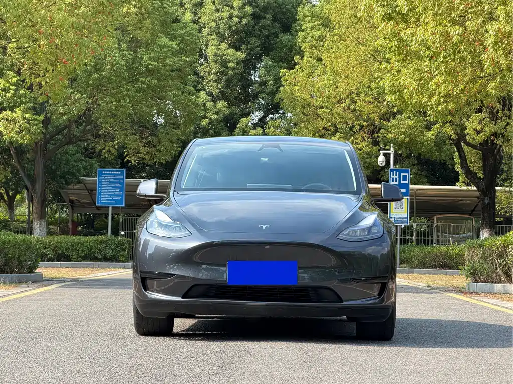 Tesla Model Y — миниатюра 2