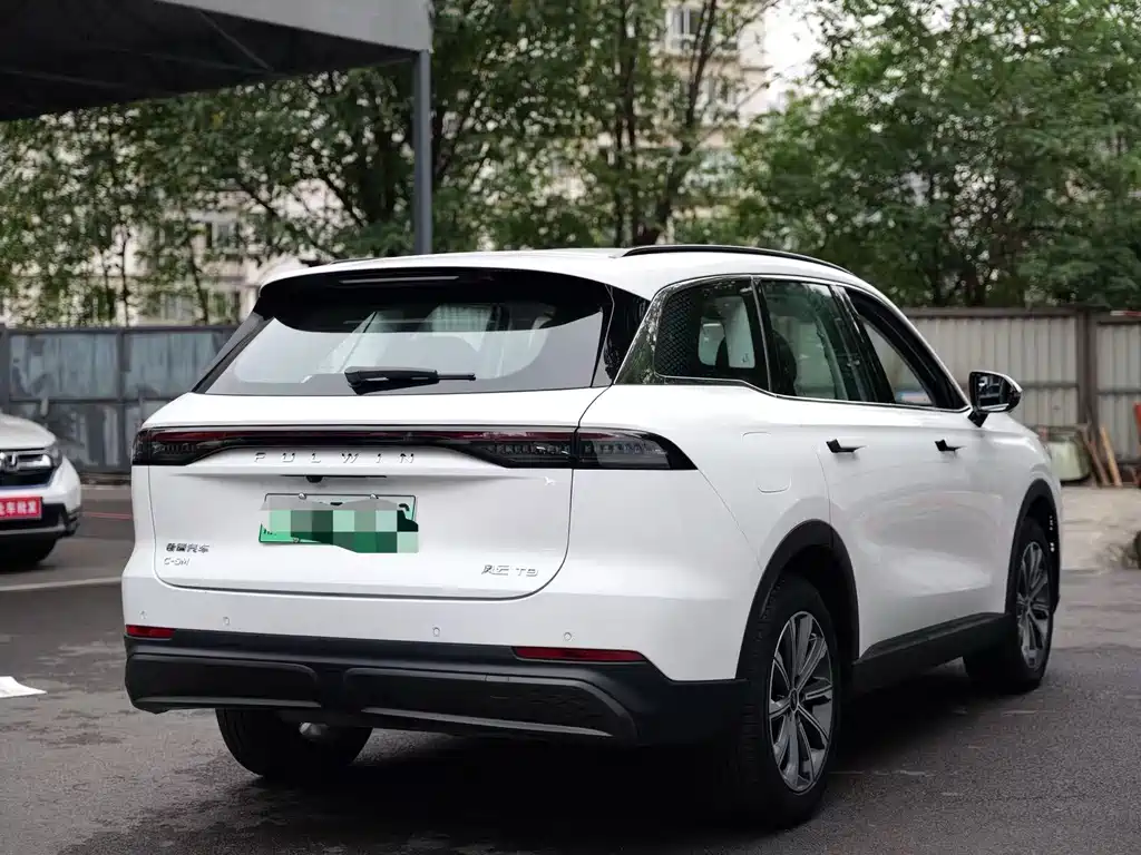 Fulwin Fengyun T9 — миниатюра 12