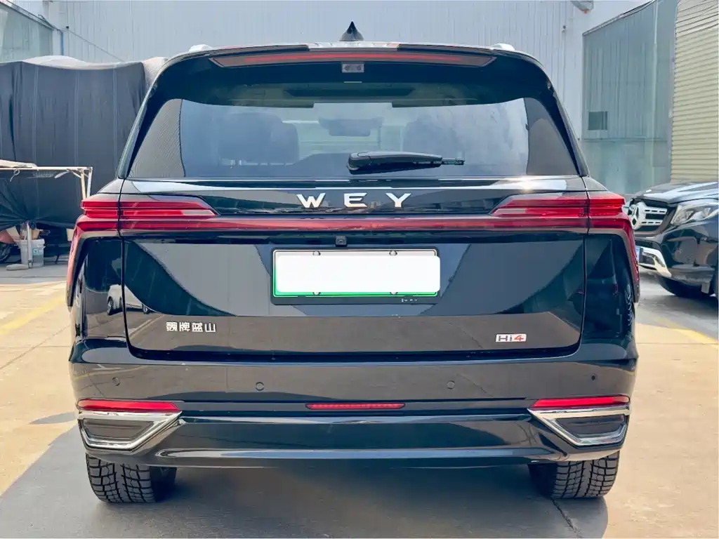Wey Wey Lanshan — миниатюра 7