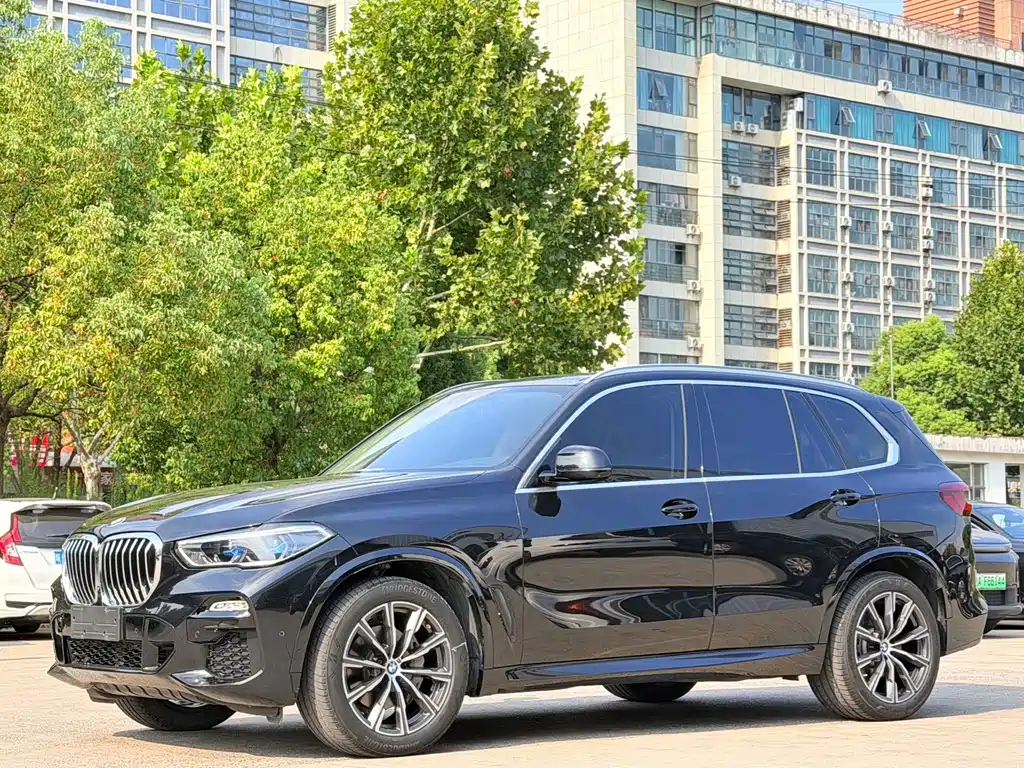BMW X5 (Import) — миниатюра 3